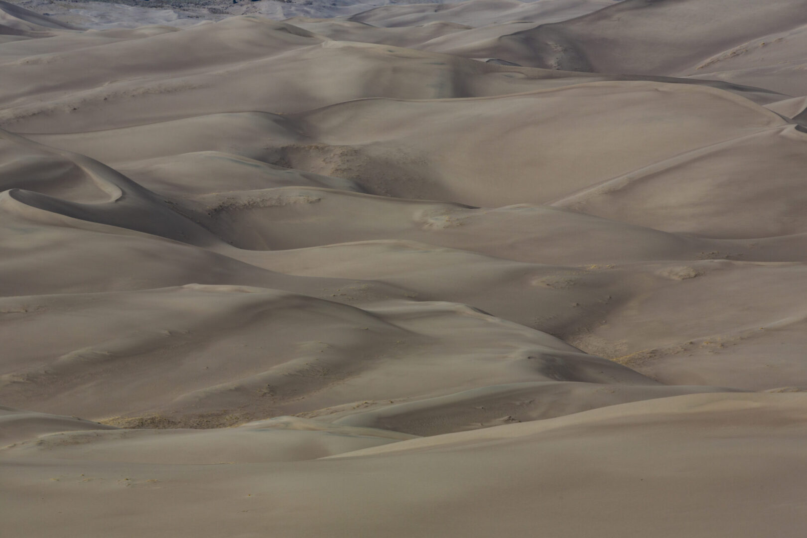 Shifting Sands 1 FAA 5015 Scaled